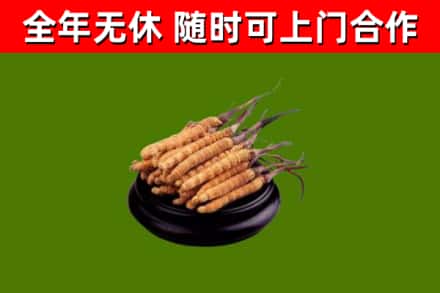 连南县烟酒回收冬虫夏草.jpg